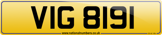 VIG 8191