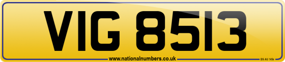 VIG 8513