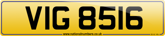 VIG 8516