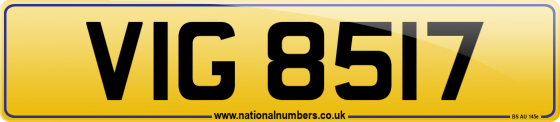 VIG 8517