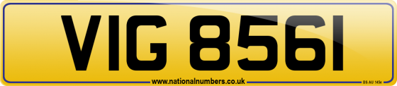 VIG 8561