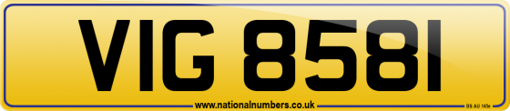 VIG 8581