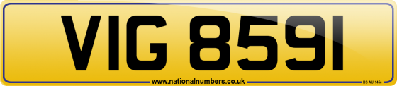 VIG 8591