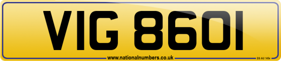 VIG 8601