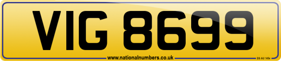 VIG 8699