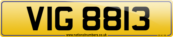 VIG 8813