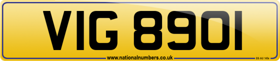 VIG 8901