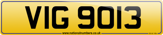 VIG 9013