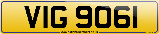 VIG 9061