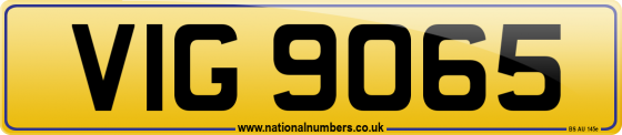 VIG 9065