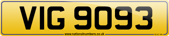 VIG 9093