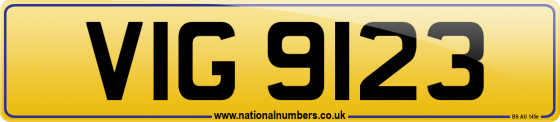 VIG 9123