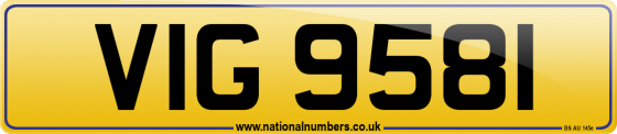 VIG 9581