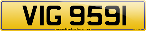 VIG 9591