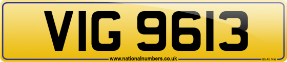 VIG 9613
