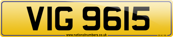 VIG 9615