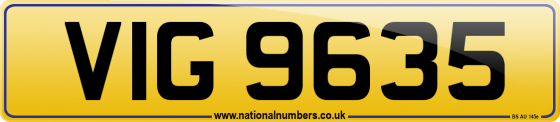 VIG 9635