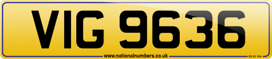 VIG 9636