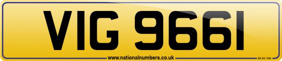VIG 9661