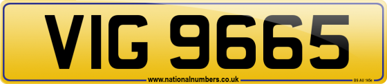 VIG 9665
