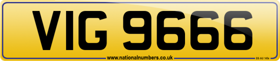 VIG 9666