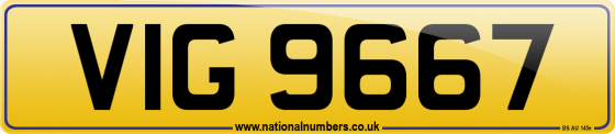 VIG 9667