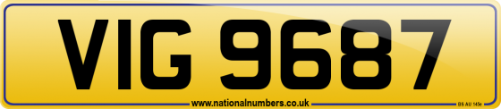 VIG 9687
