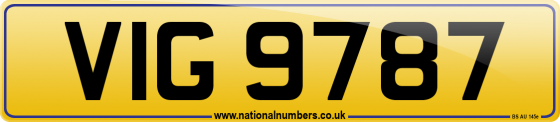 VIG 9787