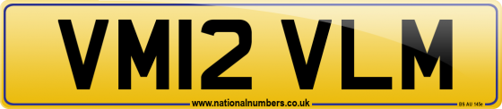 VM12 VLM