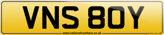 VNS 80Y