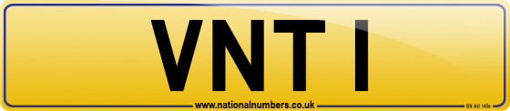 VNT 1