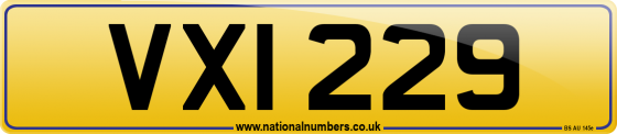 VXI 229