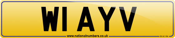 W1 AYV
