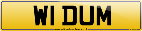 W1 DUM
