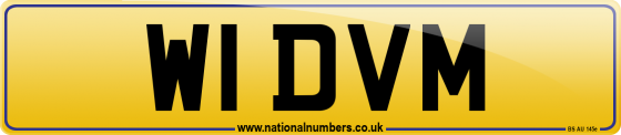 W1 DVM