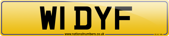 W1 DYF