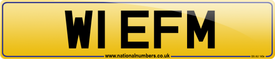 W1 EFM