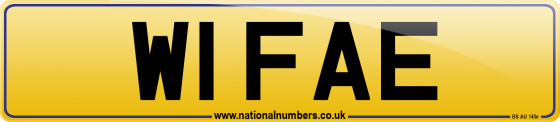 W1 FAE