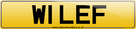 W1 LEF