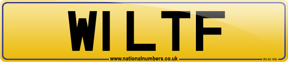 W1 LTF