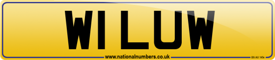W1 LUW