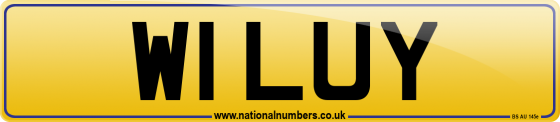 W1 LUY