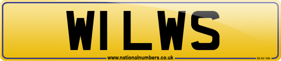 W1 LWS
