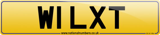 W1 LXT