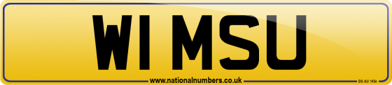 W1 MSU