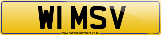 W1 MSV
