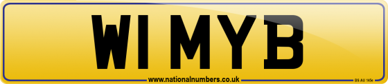 W1 MYB