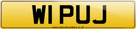 W1 PUJ