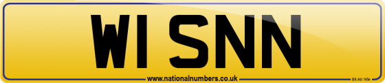 W1 SNN