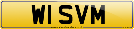W1 SVM